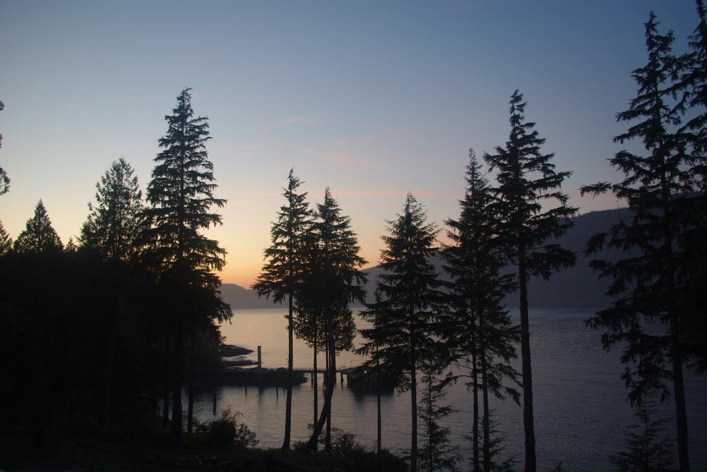 Wild Coast Chalets Port Renfrew Esterno foto